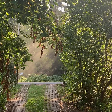 Maria Rosaria Apartment *