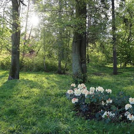 Maria Rosaria Oborniki Śląskie