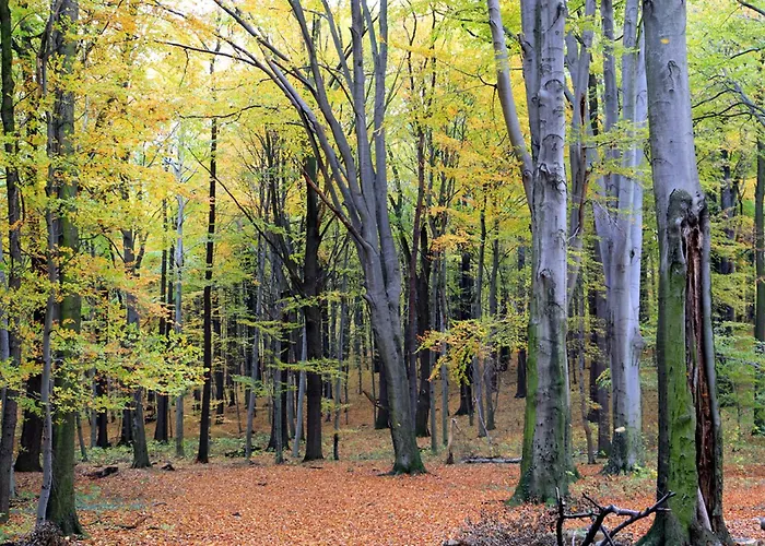 Maria Rosaria * Oborniki Śląskie
